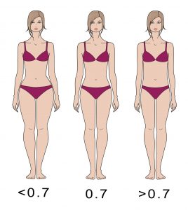 Eye-Tracking of Men's Preferences for Waist-to-Hip Ratio and Breast Size of  Women